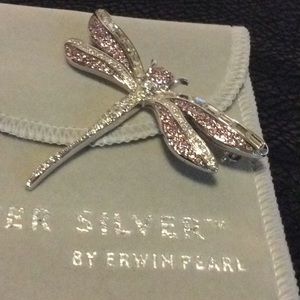 Beautiful Dragonfly Booch